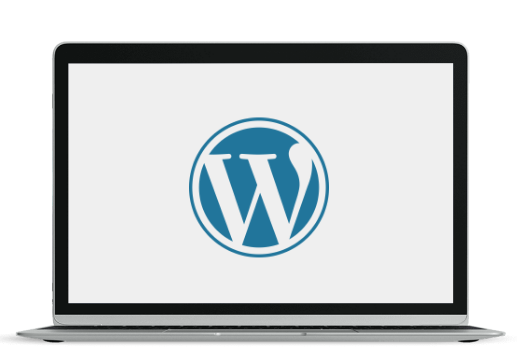 Custom WordPress Development Services